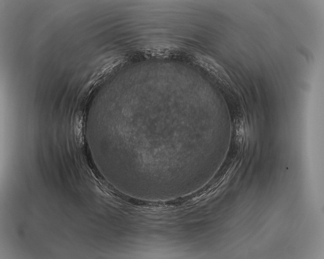 X0000115601060200911101401