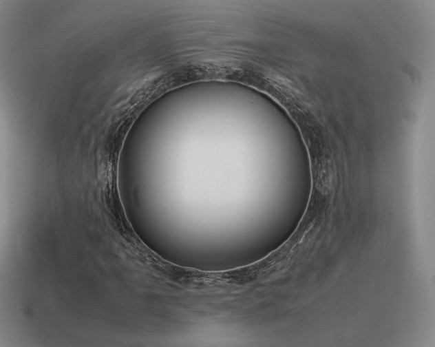 X0000115601061200911101401