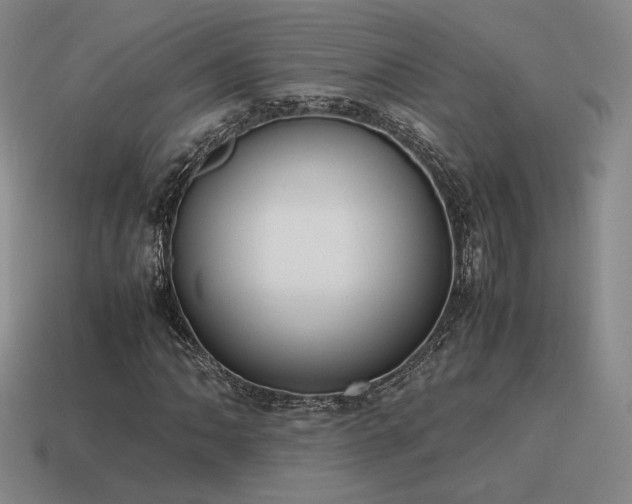 X0000115601062200911101401