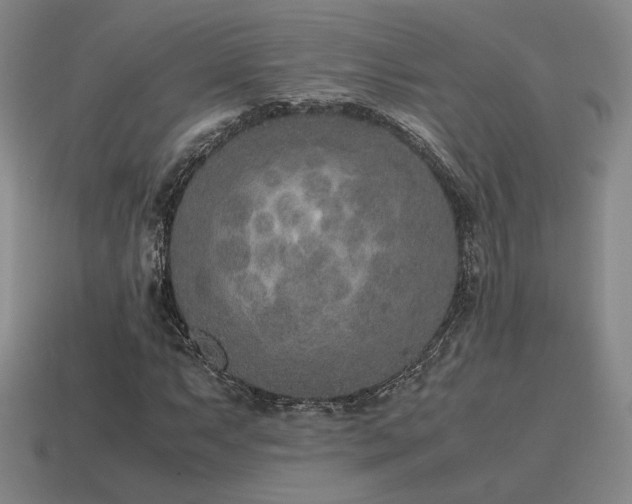 X0000115601063200911101401