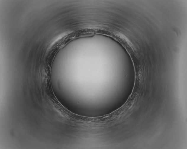 X0000115601064200911101401