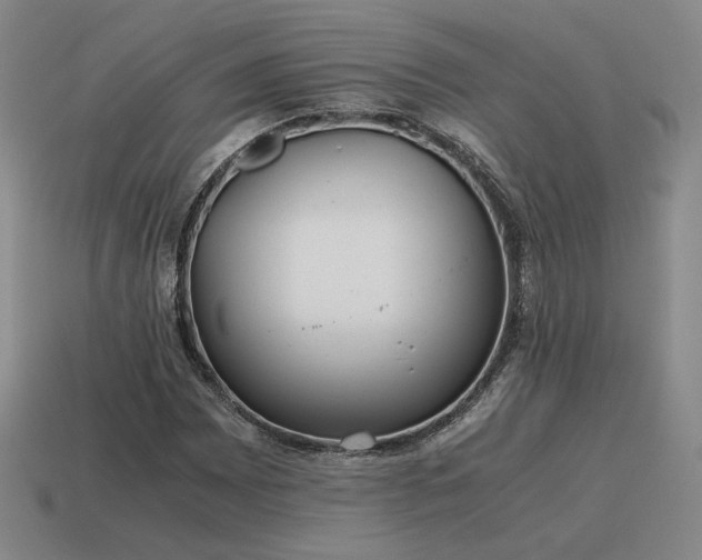 X0000115601065200911101401