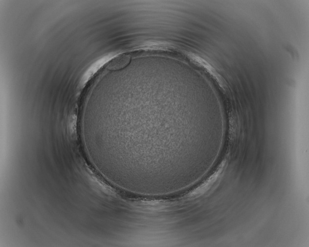 X0000115601066200911101401
