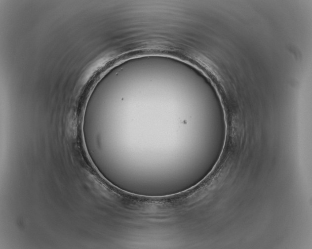 X0000115601067200911101401