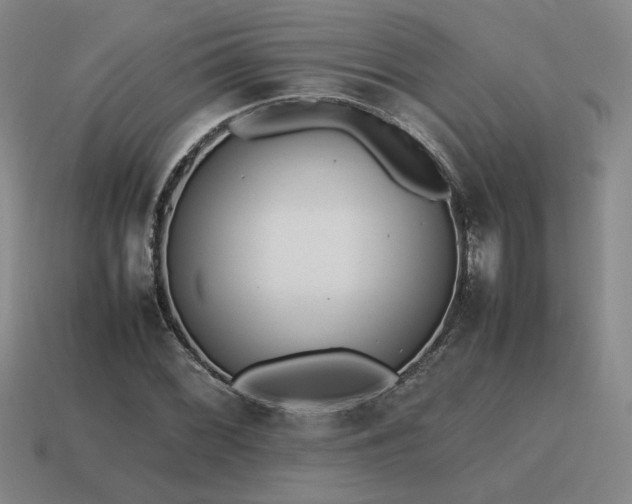 X0000115601068200911101401