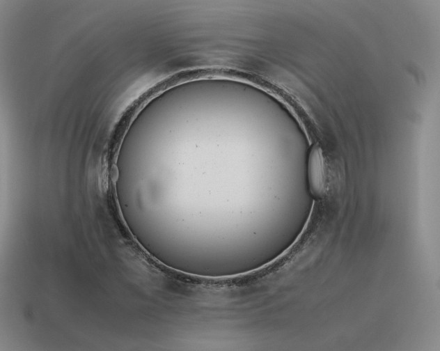 X0000115601069200911101401