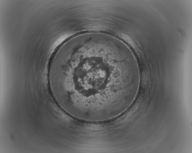 X0000115601071200911101401