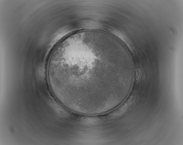 X0000115601074200911101400