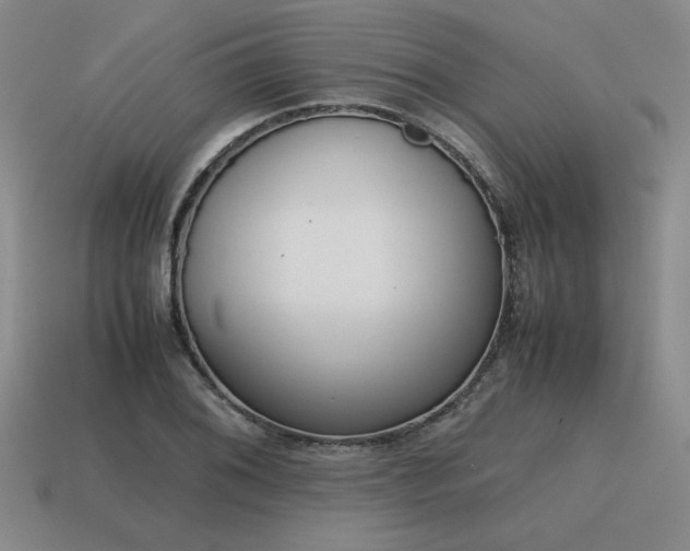 X0000115601076200911101400