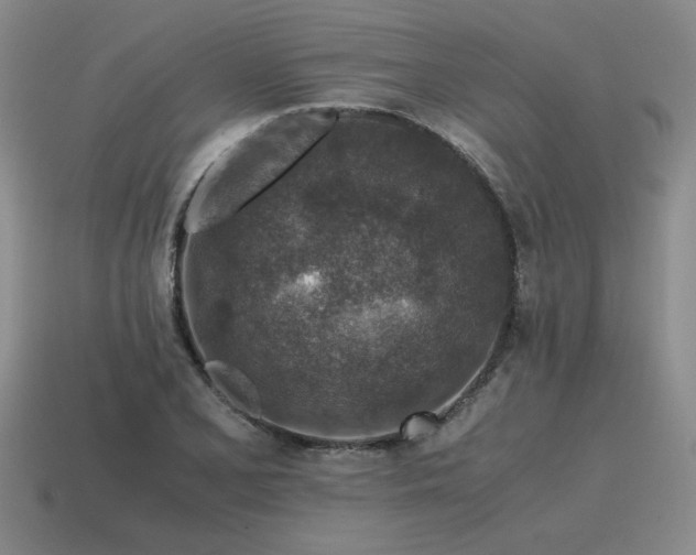 X0000115601077200911101400