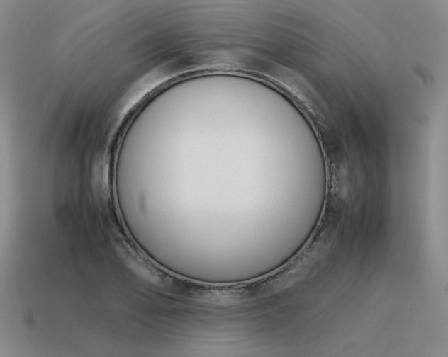 X0000115601078200911101400