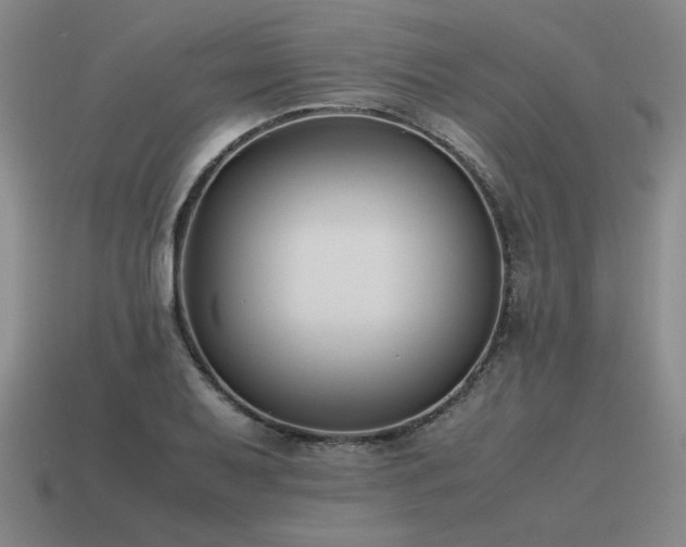 X0000115601079200911101400