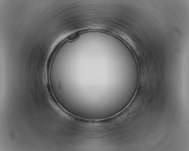 X0000115601080200911101400