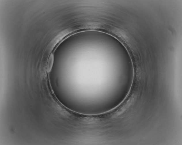 X0000115601081200911101400
