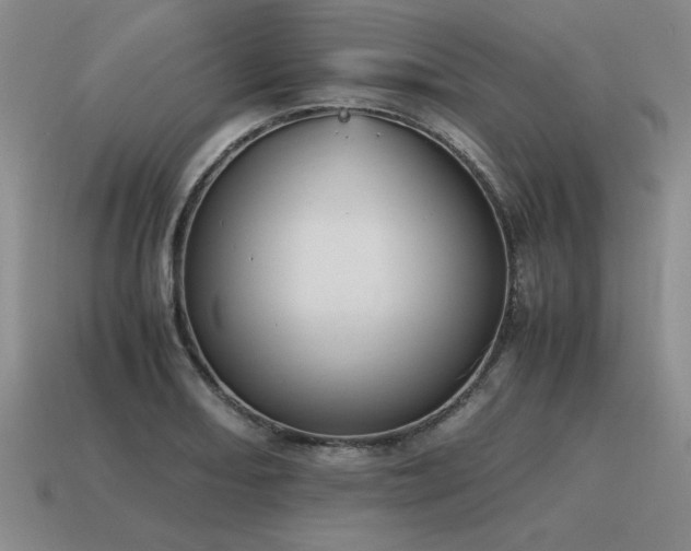 X0000115601082200911101400