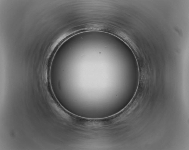 X0000115601083200911101400