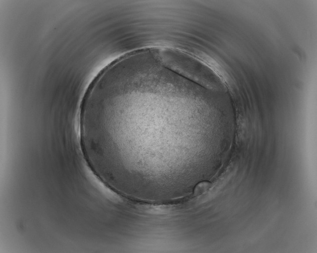 X0000115601084200911101400