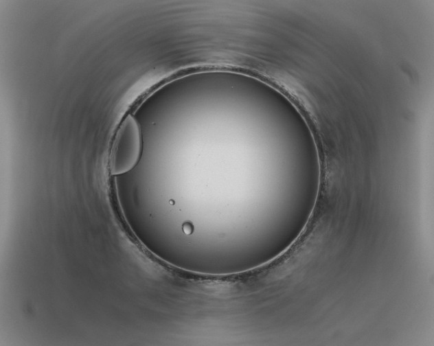 X0000115601085200911101400