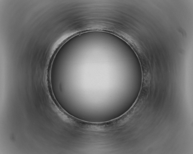 X0000115601086200911101400