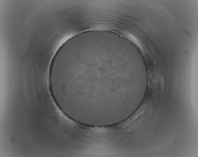 X0000115601087200911101400