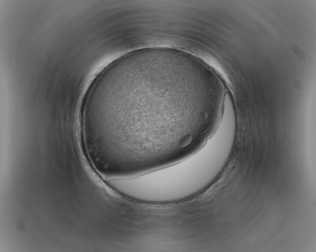 X0000115601088200911101400