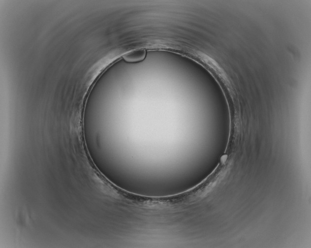 X0000115601089200911101400