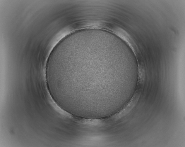 X0000115601090200911101400
