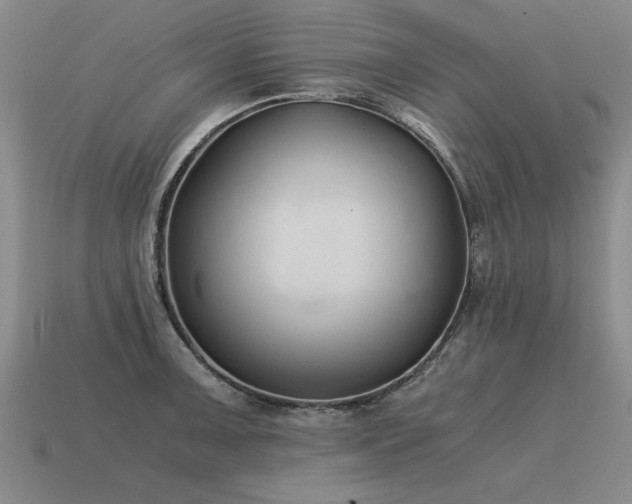 X0000115601091200911101400
