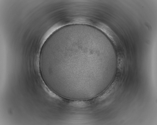 X0000115601094200911101400