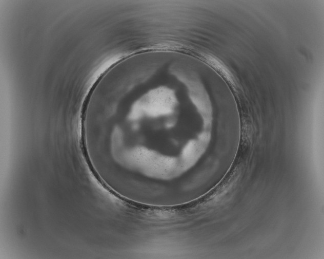 X0000115601095200911101400