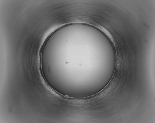X0000115601096200911101400
