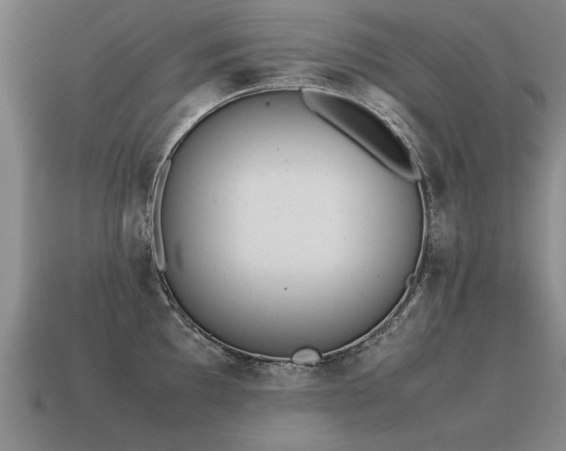 X0000115601097200911101400
