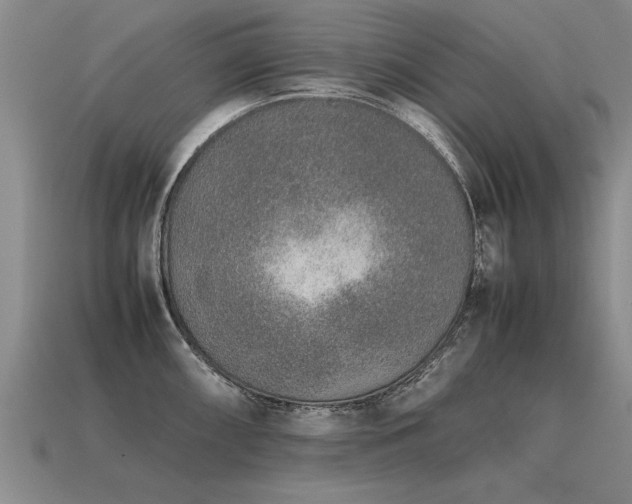 X0000115601098200911101400