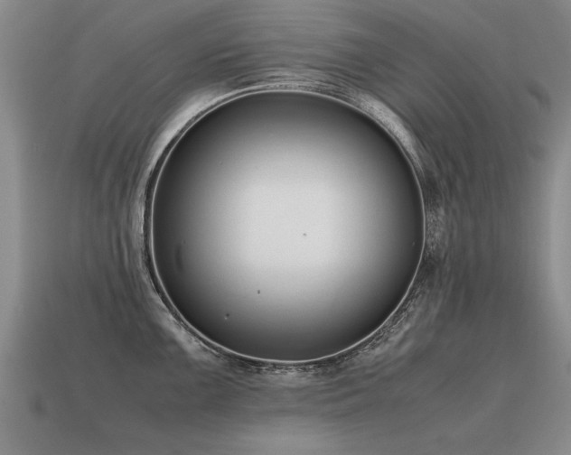 X0000115601099200911101400