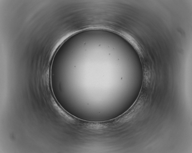 X0000115601100200911101400