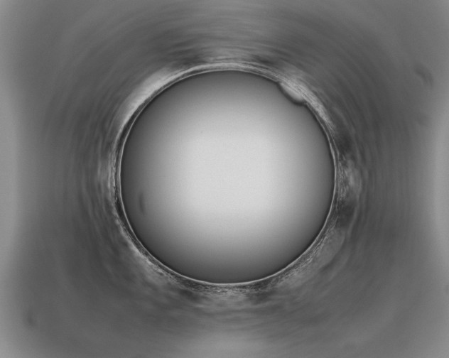 X0000115601101200911101400