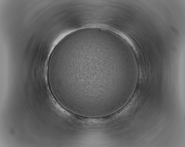 X0000115601102200911101400