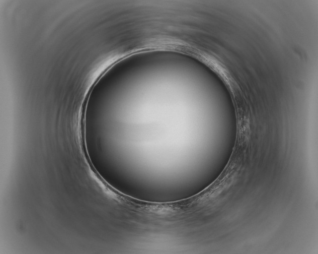 X0000115601103200911101400