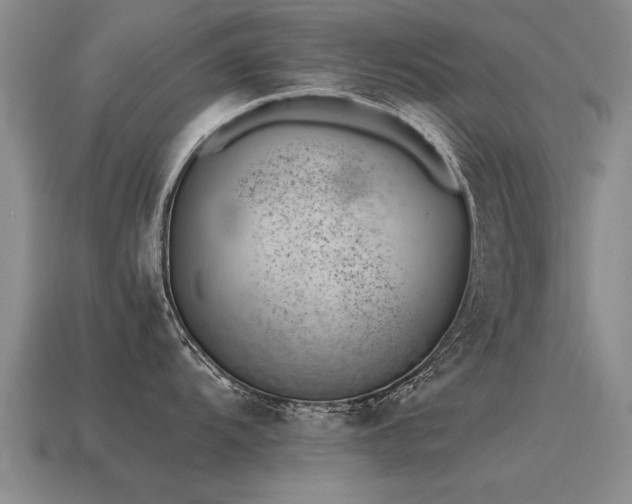 X0000115601104200911101400