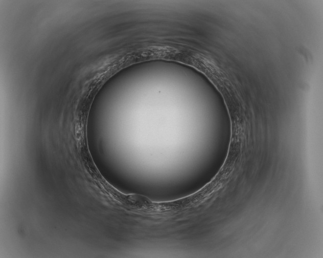 X0000115601109200911101359
