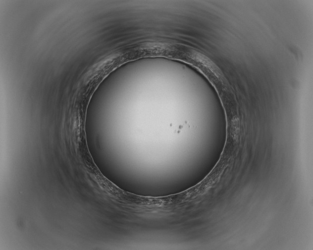 X0000115601111200911101359