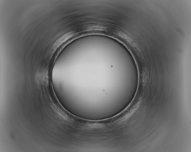 X0000115601113200911101359
