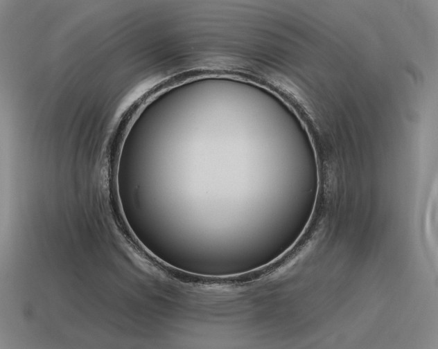 X0000115601114200911101359
