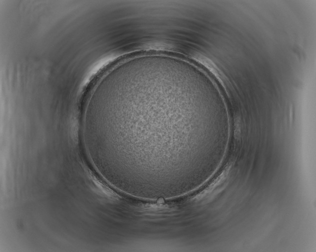 X0000115601115200911101359