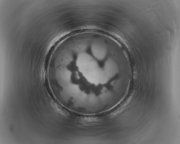 X0000115601117200911101359