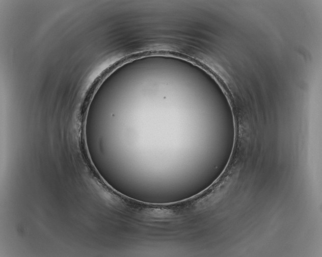 X0000115601119200911101359