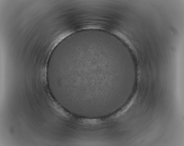 X0000115601121200911101359