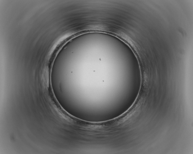 X0000115601123200911101359