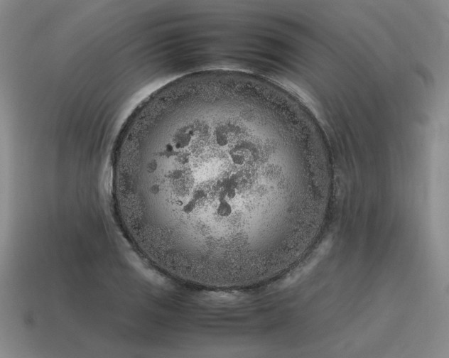 X0000115601125200911101400