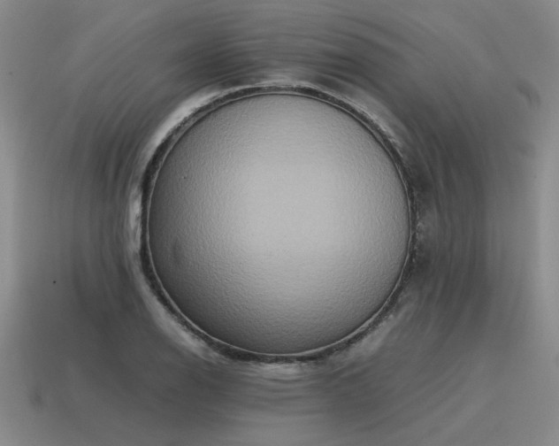 X0000115601126200911101400